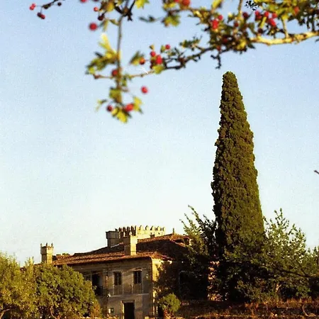 Hotel Casa Grande De Rosende 3*