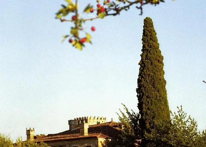 Отель Casa Grande De Rosende 3*