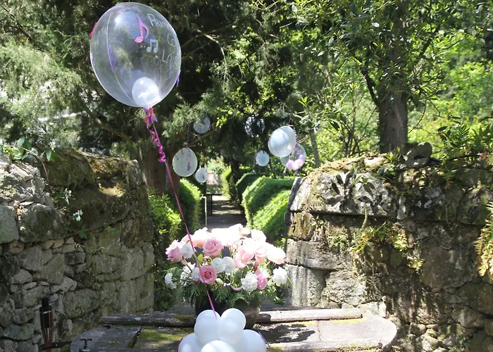 Casa Grande De Rosende מלון