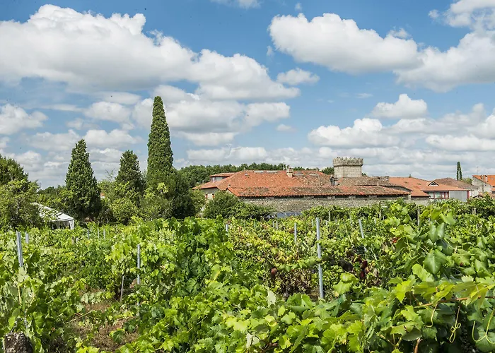Casa Grande De Rosende Отель