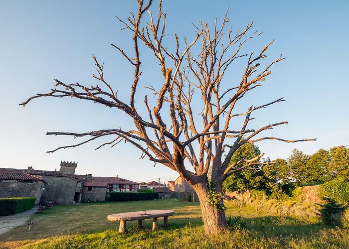 Отель Casa Grande De Rosende