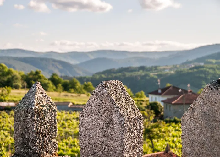 Casa Grande De Rosende 3*