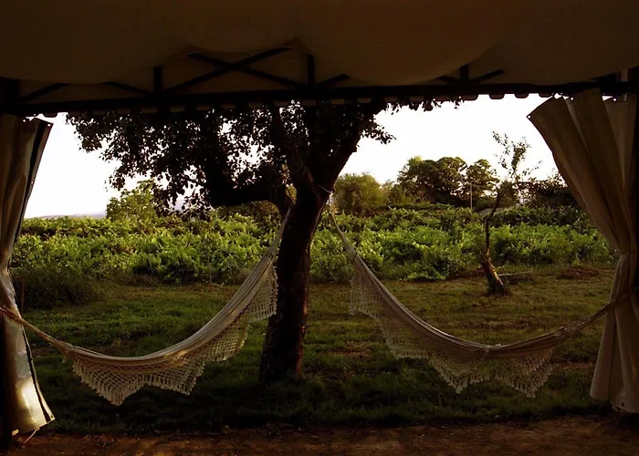 Casa Grande De Rosende 3* Собер